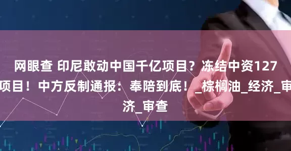 网眼查 印尼敢动中国千亿项目？冻结中资127个项目！中方反制通报：奉陪到底！_棕榈油_经济_审查