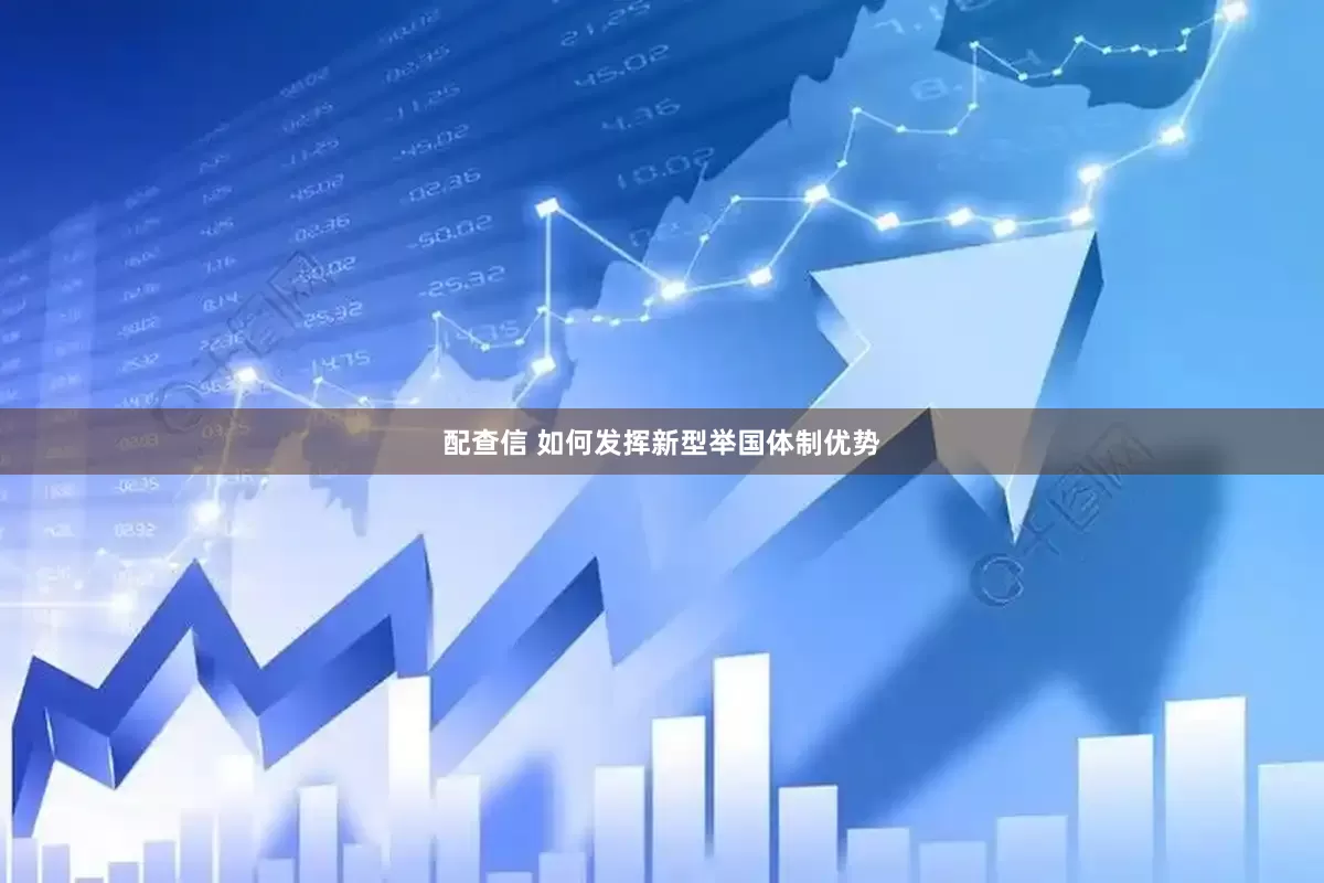 配查信 如何发挥新型举国体制优势